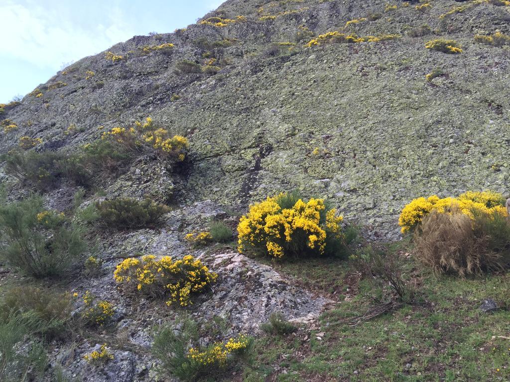 El Invernal De Picos Portilla de la Reina Εξωτερικό φωτογραφία