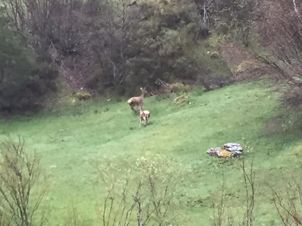 El Invernal De Picos Portilla de la Reina Εξωτερικό φωτογραφία