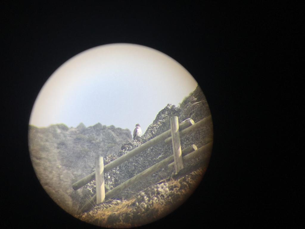 El Invernal De Picos Portilla de la Reina Εξωτερικό φωτογραφία